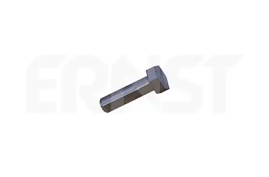 ERNST 495530