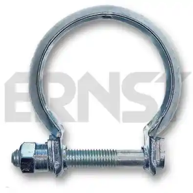 ERNST 495769