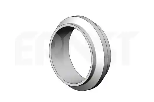 ERNST 498319