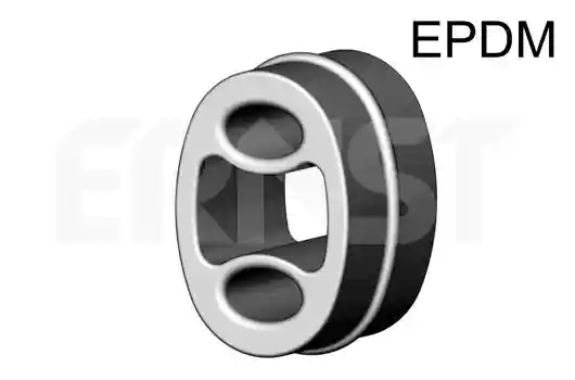 ERNST 499019