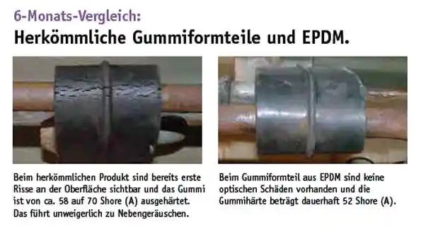 ERNST 499071