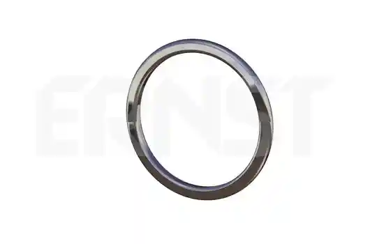 ERNST 499569