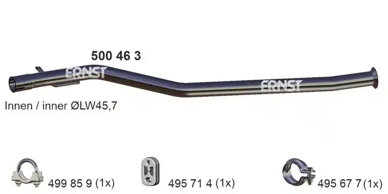 ERNST 500463