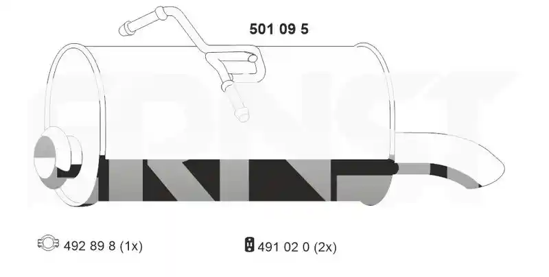 ERNST 501095