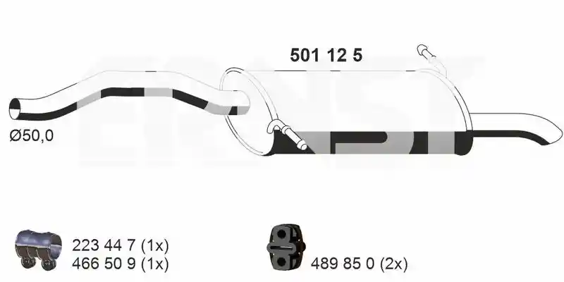 ERNST 501125