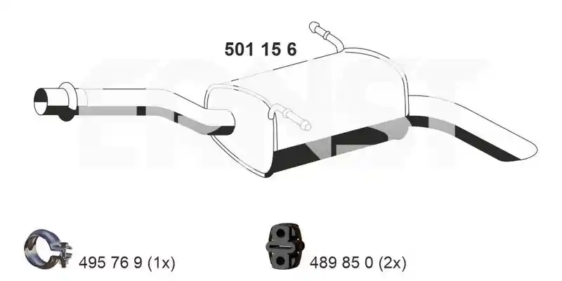 ERNST 501156