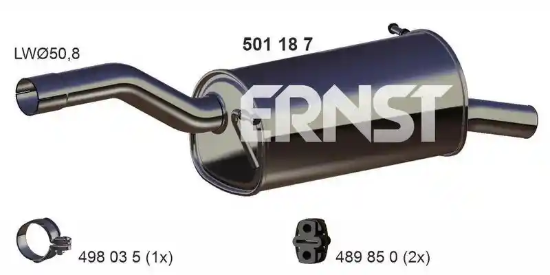 ERNST 501187