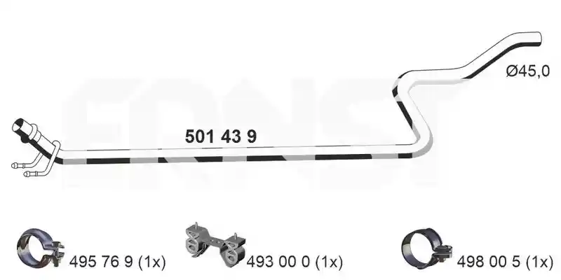 ERNST 501439