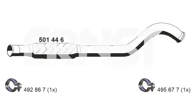 ERNST 501446