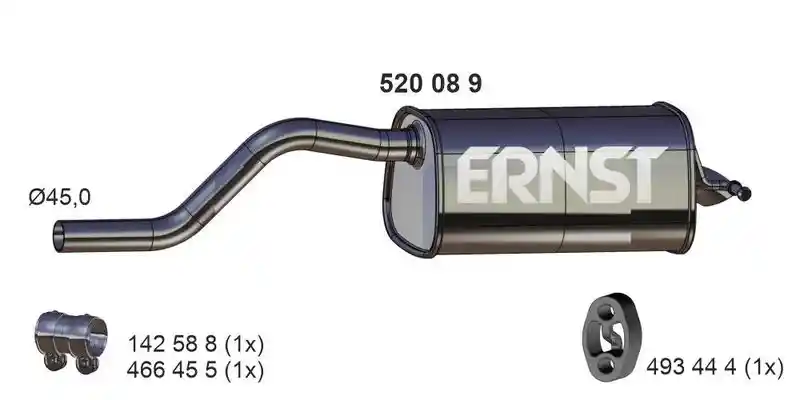 ERNST 520089