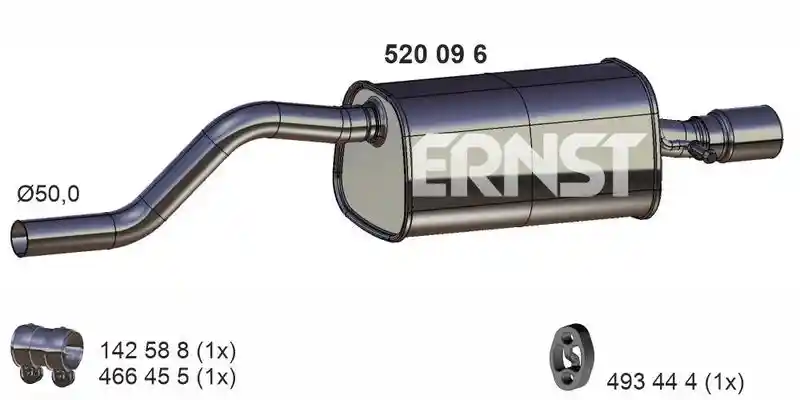 ERNST 520096