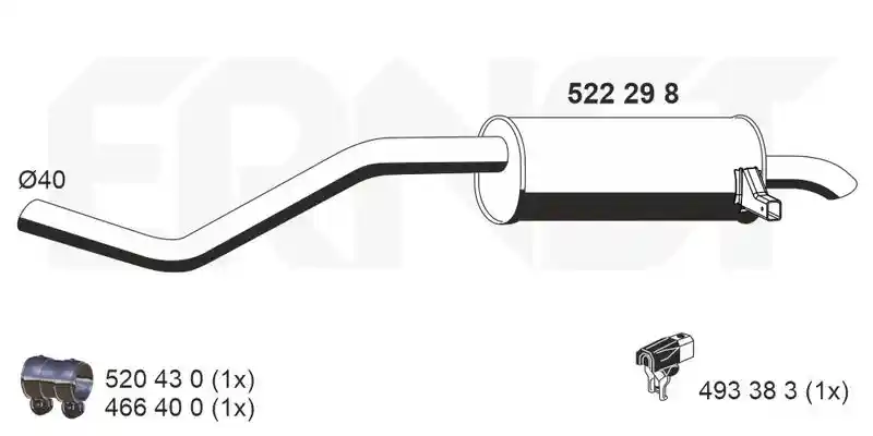 ERNST 522298