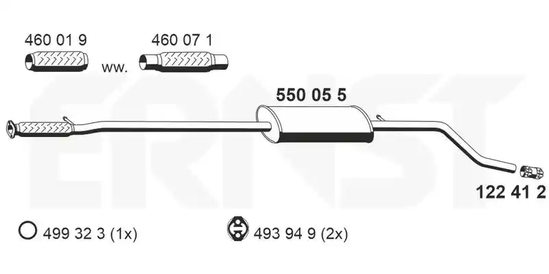 ERNST 550055