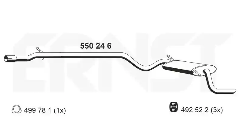 ERNST 550246