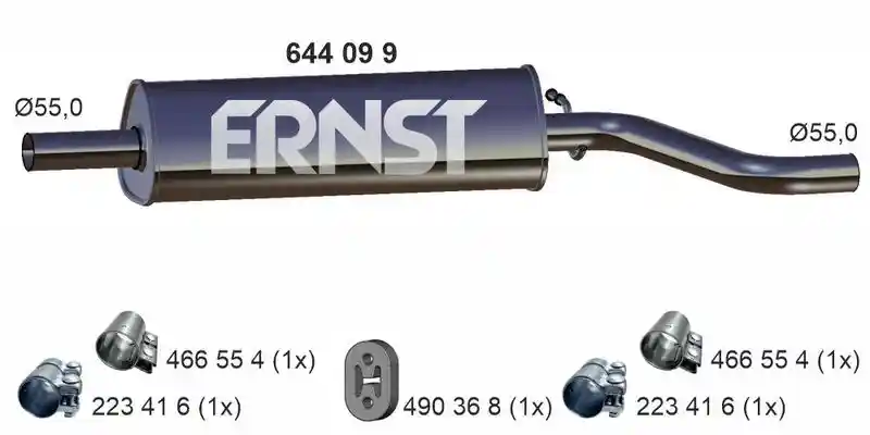 ERNST 644099