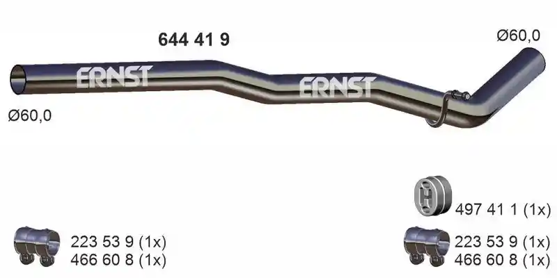 ERNST 644419