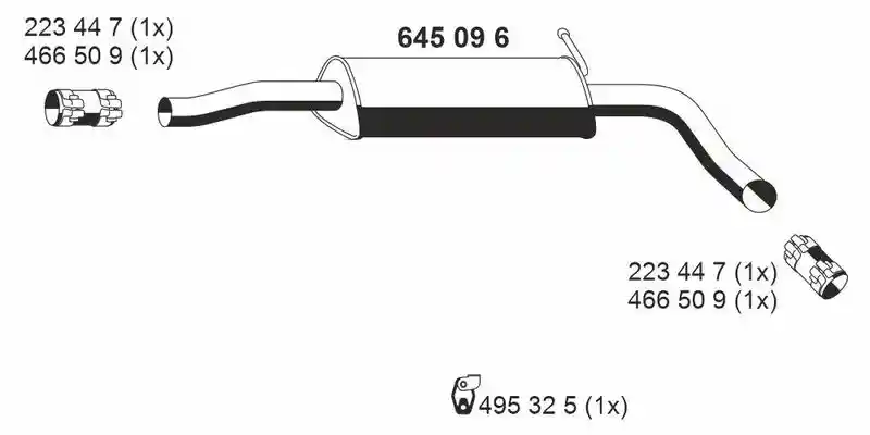 ERNST 645096