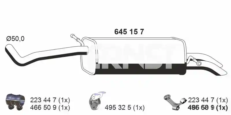 ERNST 645157