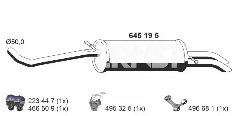 ERNST 645195