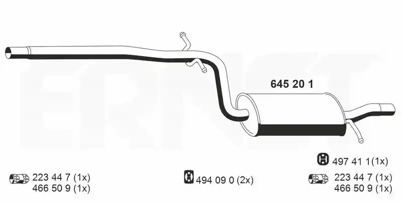 ERNST 645201
