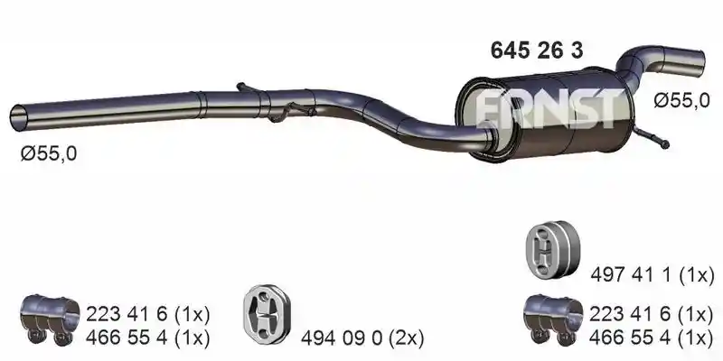 ERNST 645263