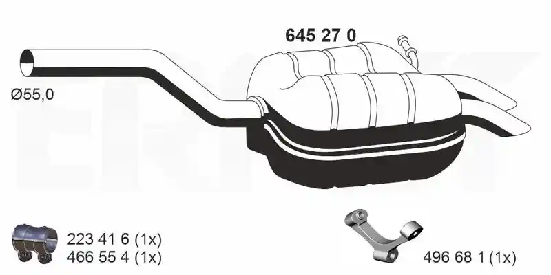 ERNST 645270