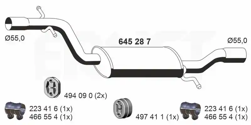 ERNST 645287