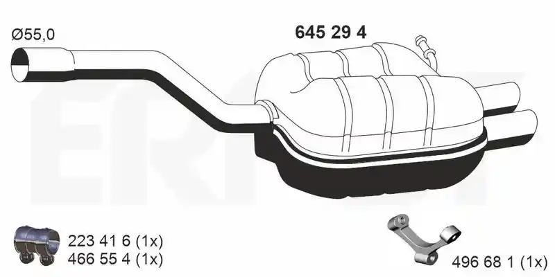 ERNST 645294