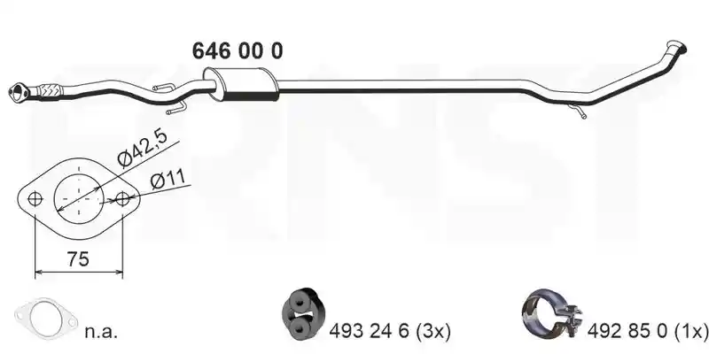 ERNST 646000