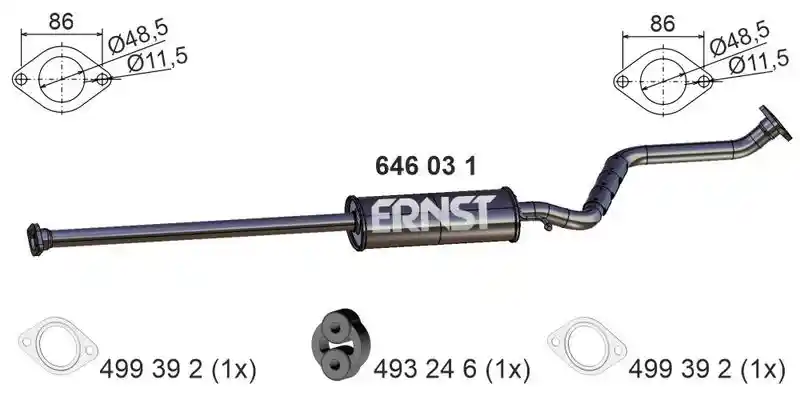 ERNST 646031