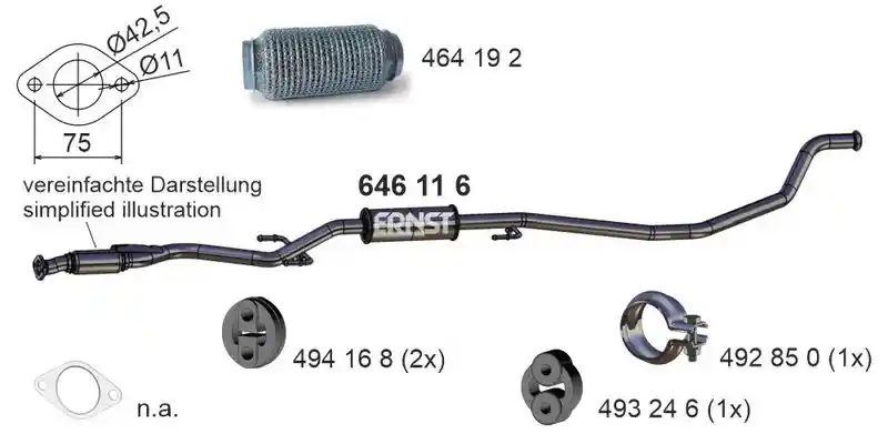 ERNST 646116
