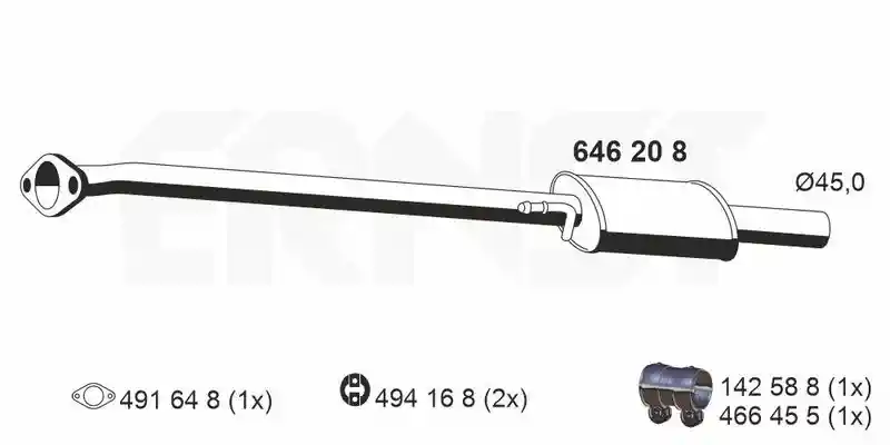 ERNST 646208