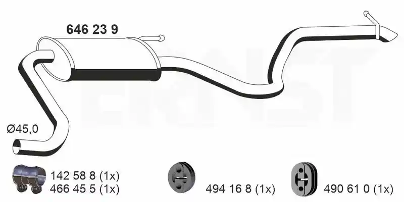 ERNST 646239