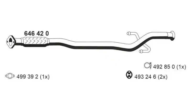ERNST 646420