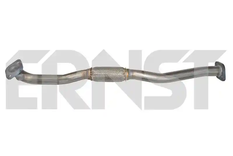ERNST 646499
