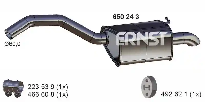 ERNST 650243