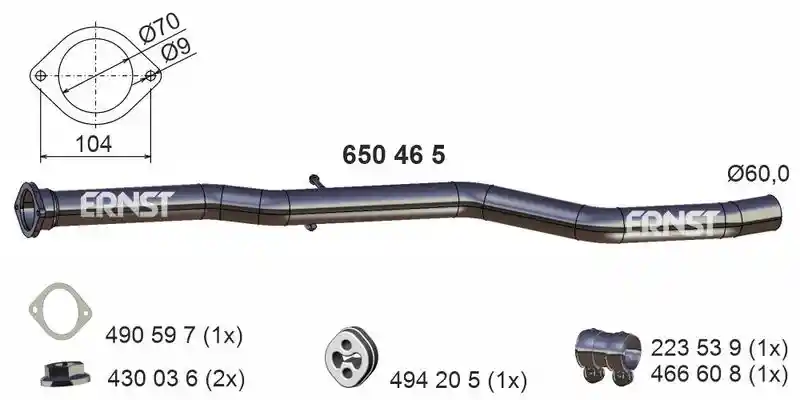 ERNST 650465