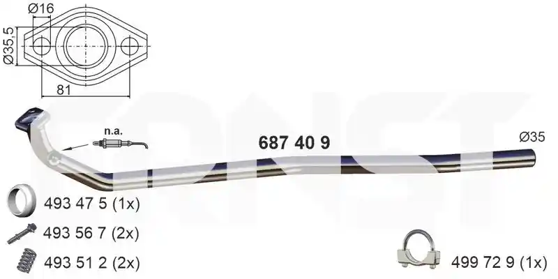 ERNST 687409