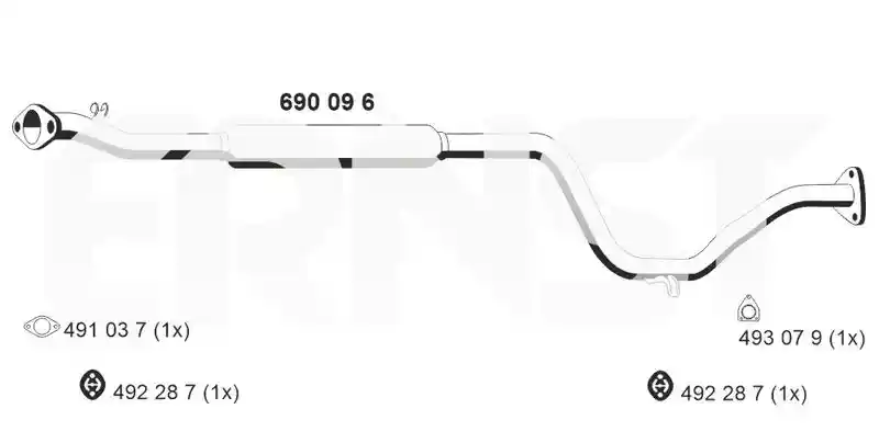 ERNST 690096