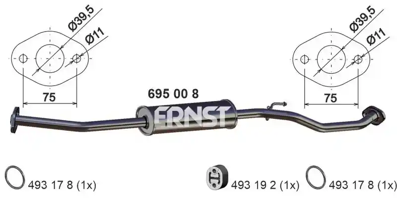 ERNST 695008