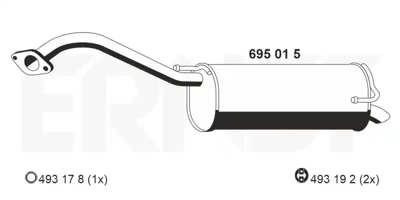ERNST 695015