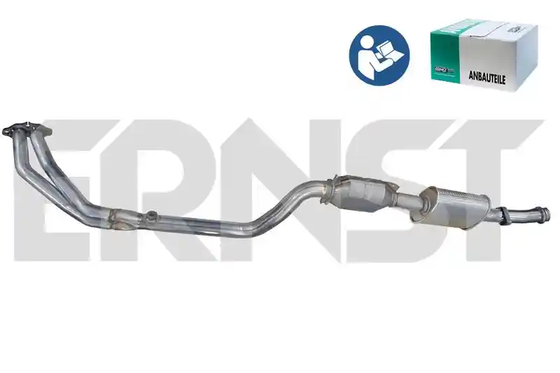 ERNST 750219