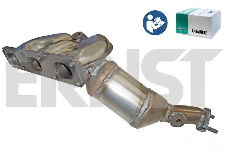 ERNST 750271