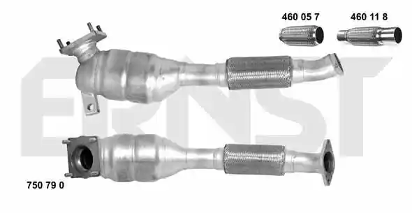 ERNST 750790