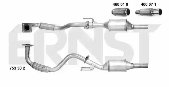 ERNST 753302
