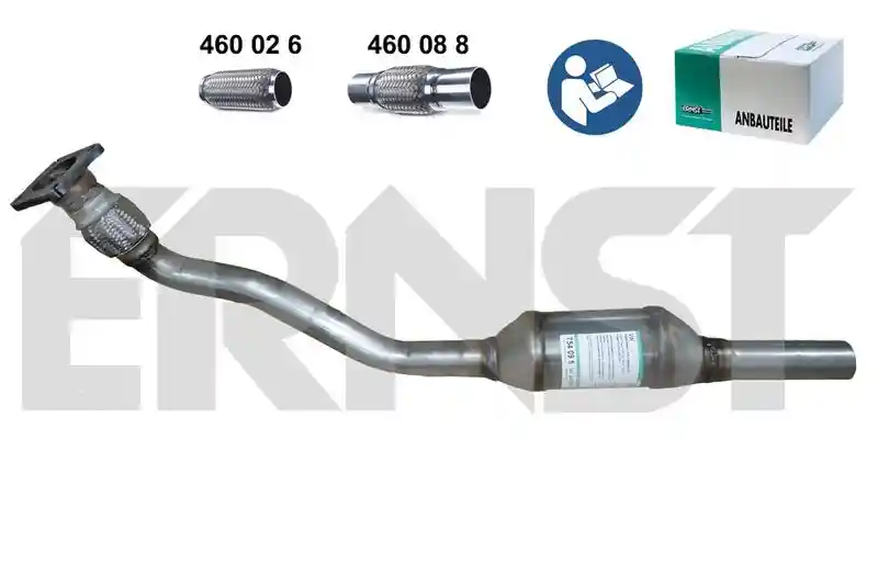 ERNST 754095