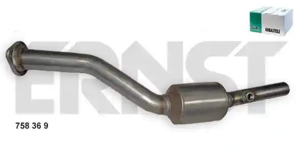 ERNST 758369
