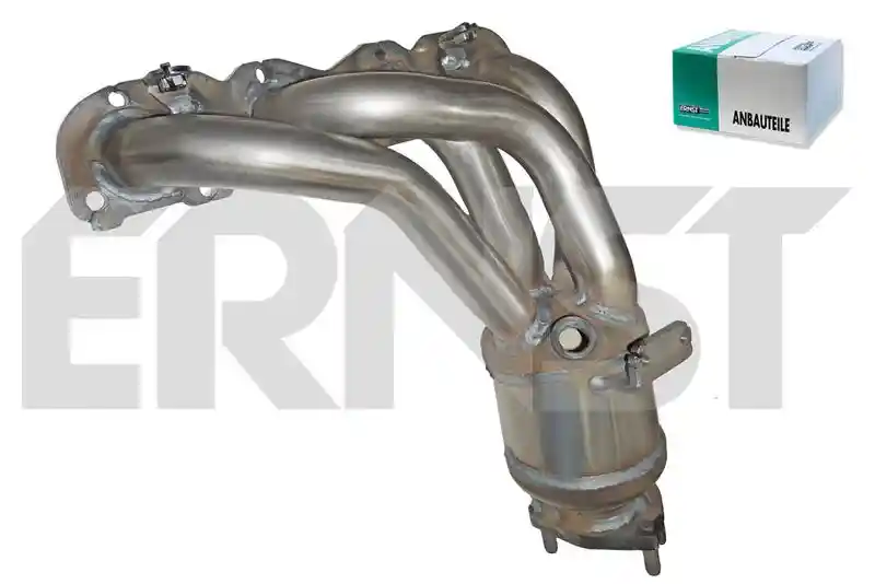 ERNST 760164