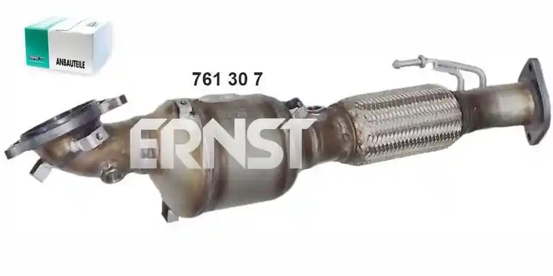 ERNST 761307