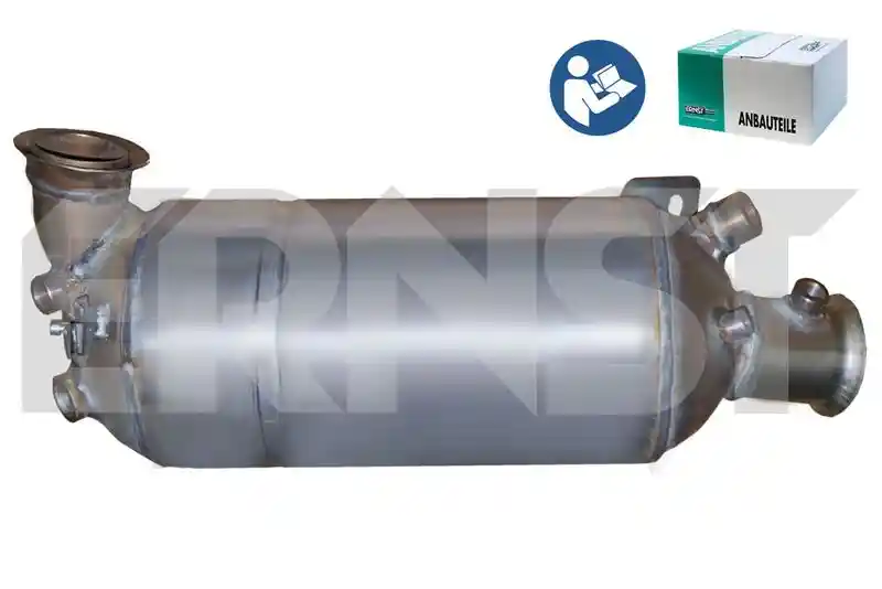 ERNST 910064